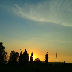 Timber (Seiji Remix)