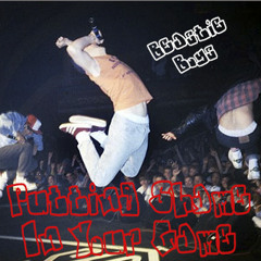 the Dead Beats present Beastie Boys - Putting Shame In Your Game (deadbeats Remix)