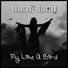 Novacane Sinatra - Fly Like A Bird 2014 (Childish Gambino & J Cole Type Instrumental)