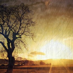 Kmnml - Typedef (Original Mix)