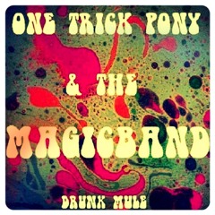 DRUNK MULE - One Trick Pony & The Magic Band
