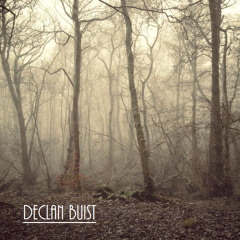 Goodnight Beautiful - Declan Buist