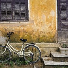 Nhạc Việt Nam