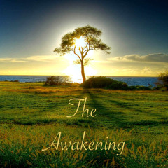 The Awakening