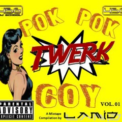 The Pok Pok Twerk Coy Vol.01 (Mixtape Feb 2015)