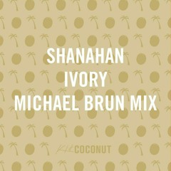 Shanahan, Michael Brun x SHM, Laidback Luke ft Deborah Cox - Leave The Ivory Behind (DAN Mashup)
