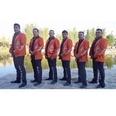 La Avispa De La Montaña / de Braseros Musical / Con Proyecto G