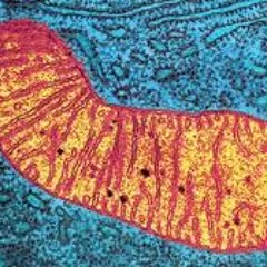 The Energy (For Grace)