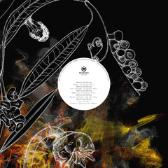 Danito & Athina- Love Tonight (Several Definitions Remix) [Eklektisch]