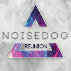 NoisedoG - REUNION