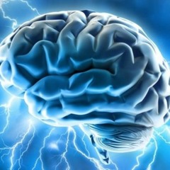 Electronic/Experimental/Techno