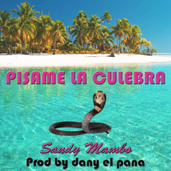 PISAME LA CULEBRA - SANDY MAMBO - PROD BY DANY EL PANA (7RECORDZ) - RADIO MIX - MP3