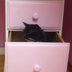 others good Electronic music (selected by Christophe DENICOURT)