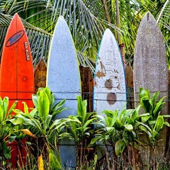 Dance E.M. 2015 (mix by Te Robi)