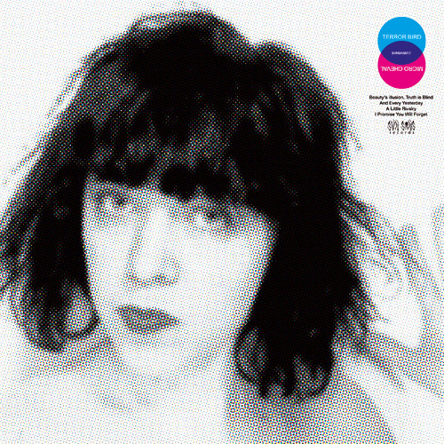 swizzle fitz fizzle swish // indie :: electronic :: pop :: dance
