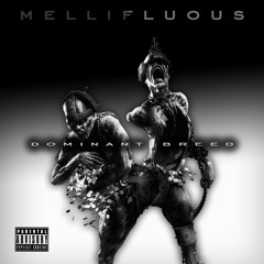 WORLD IZ MINE .... DOMANICHE & TU KAV...PRODUCED BY MAINE INGREDIENT