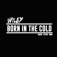 Wiley - Born In The Cold (BradPitchRmx)