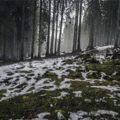 Krusseldorf - Medeltid