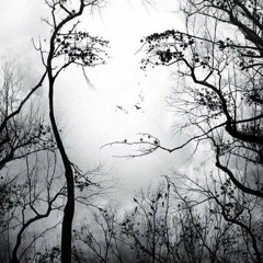 Illusion------FREE DOWNLOAD
