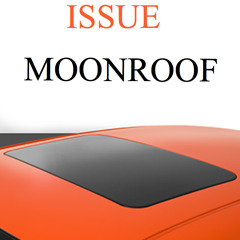 ISSUE - Windows Down