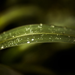 Awake (Ruelle - Until We Go Down Remix)