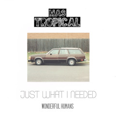 Wonderful Humans - Just What I Needed (Mas Tropical Remix)
