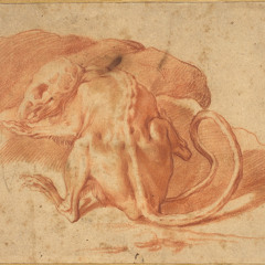 Kered Notsew - The Hampster Is No Scapegoat