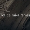 poster of Adi Peste Tot Ce Mi A Ramas song