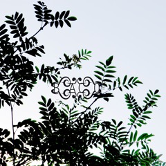 Wenn das alles keine Liebe ist