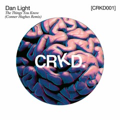 The Prophet (Conner Hughes Remix)