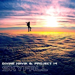 Divine Havik & Project 14 - Skyfall (Original Mix)