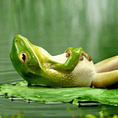 The Tale Of The Horny Frog by The Flaming Lips