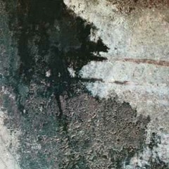 Animist Orchestra - Wuwei (excerpt)