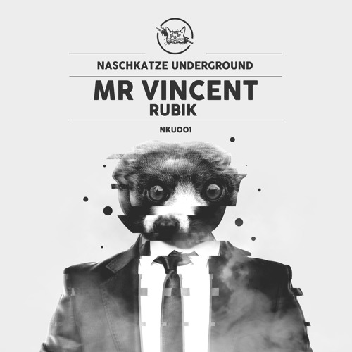 [Naschkatze 001] Mr.Vincent - Rubik (Original Mix) Snippet