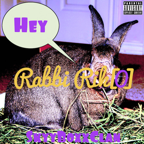 Stream Rabbi Riko - Hey by SkyyBoxx Clan | Listen online for free on ...