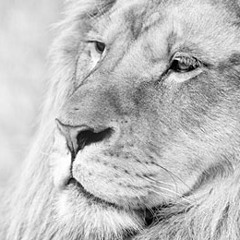 Price Tag (with ukulele)