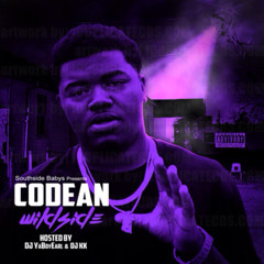 Im Dat Type. Zelle,Ceeb,& Codean Produced by Lit'Dez