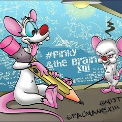 Money & The Power [Pinky&TheBrain]