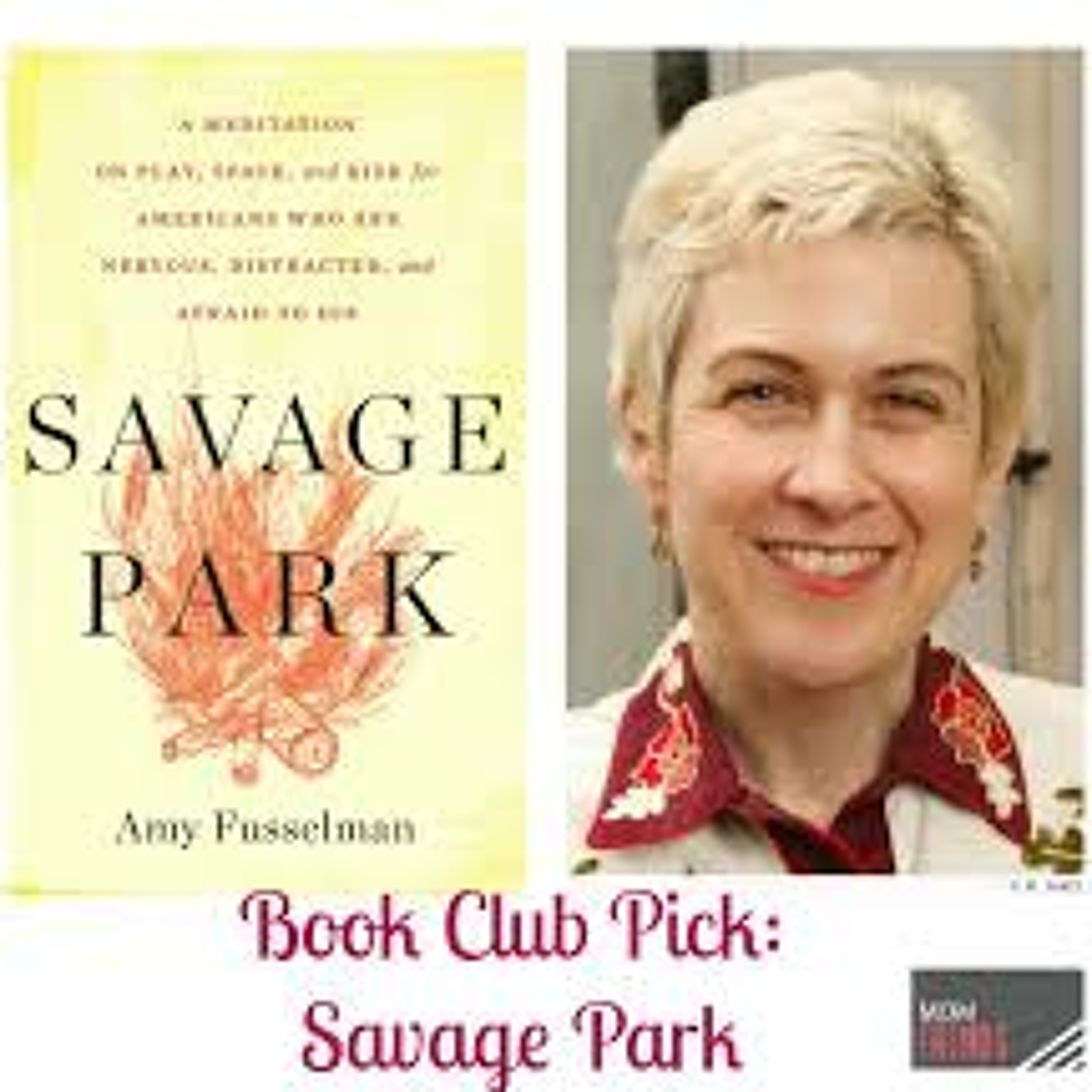 The Magical Mystery Tour Jan 23 2015 Amy Fusselman Savage Park Interview episode artwork