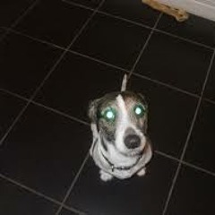 Ralph's Indie Show on Radio KC - Vol 111