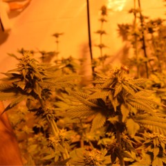 Serving The Town (Ft. J-Raw & Flos, prod.MVCVBRE)