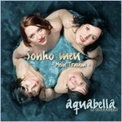 01 - SONHU MEU