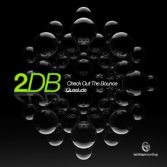 2DB - Check Out The Bounce [Clip]