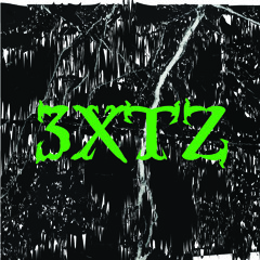 3XTZ