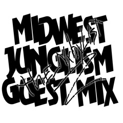 The Nyhylist - midwest junglism mix
