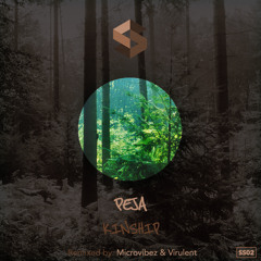 Peja - Kinship (Microvibez Remix)