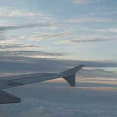 All Birds Are Against The Gravity -L'alphalpa (Accoustic cover)