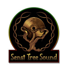 SENSI TREE SOUND -GAPPY RANKS PUMPKIN BELLY DUBPLATE
