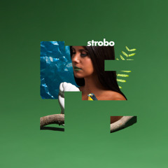 Lila, "Strobo"