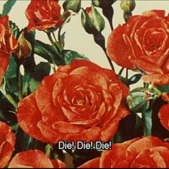 Collection of new-ish beats